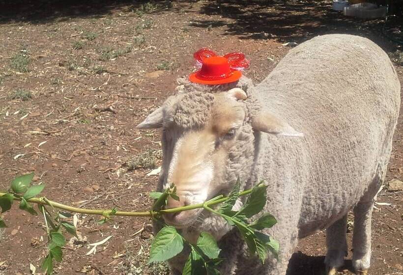 ベッドアンドブレックファースト Redcliffe House