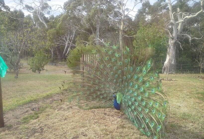 ベッドアンドブレックファースト Redcliffe House