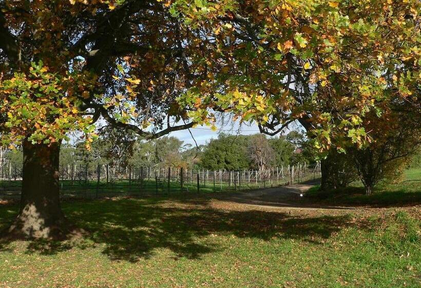 ベッドアンドブレックファースト Redcliffe House