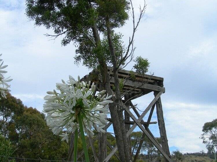 ベッドアンドブレックファースト Redcliffe House