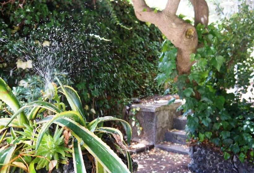 ベッドアンドブレックファースト Rosso Vulcano