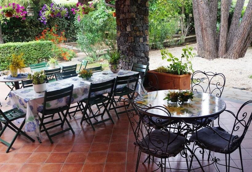 ベッドアンドブレックファースト Rosso Vulcano