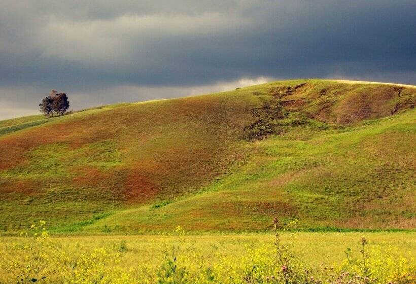 مبيت وإفطار Candalù Hotels   Villa Giardinata