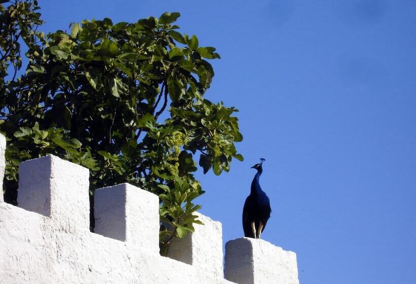 مبيت وإفطار Candalù Hotels   Villa Giardinata