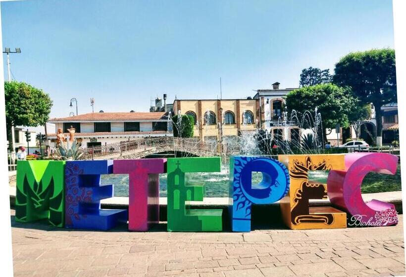 Biohotel Metepec
