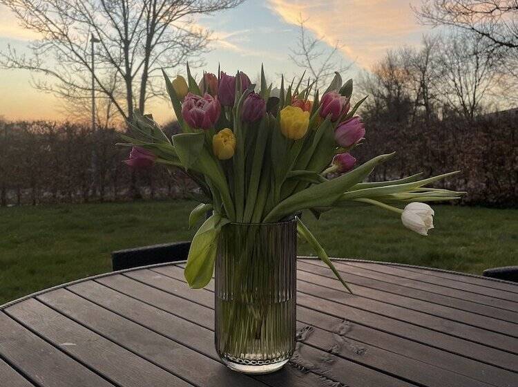 客栈 Helts B&b Helts Guesthouse