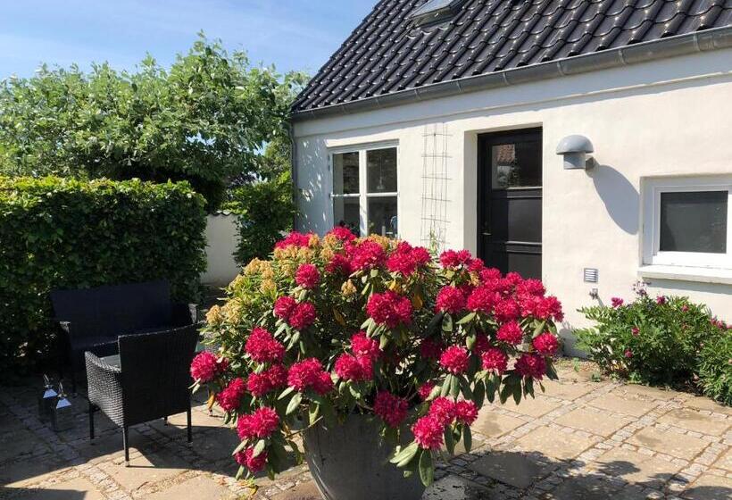 여관 Helts B&b Helts Guesthouse