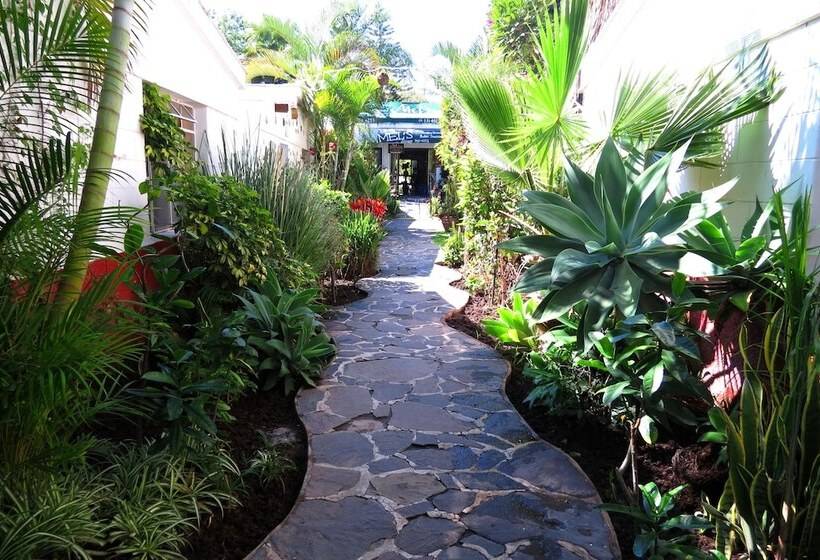 בית מלון כפרי Ajijic Plaza Suites