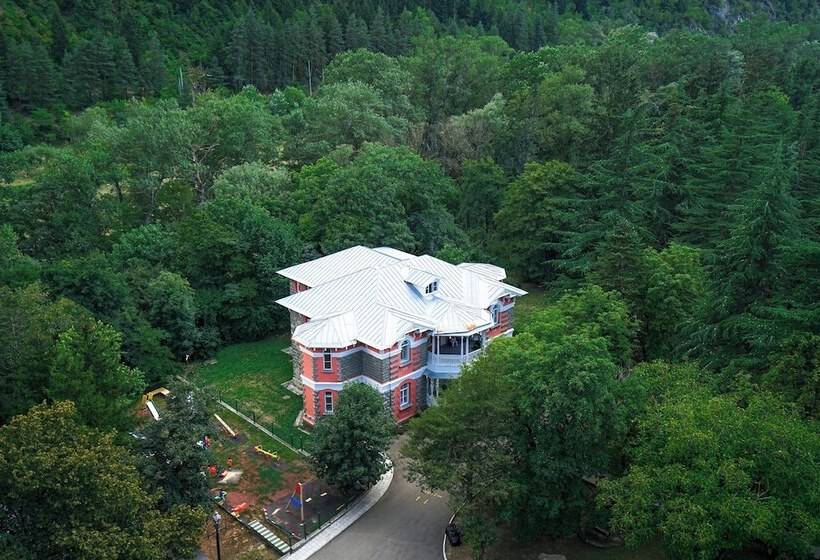 هتل Borjomi Likani Health & Spa Centre