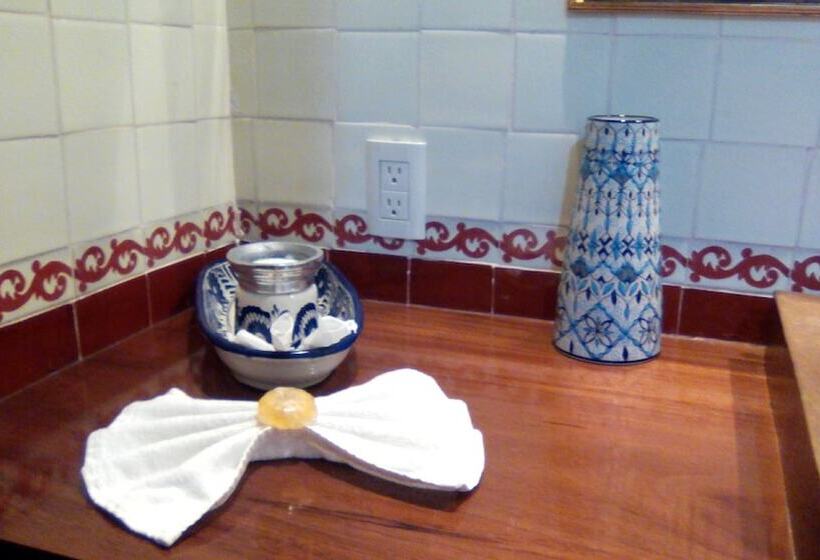 هتل Boutique Hacienda Del Gobernador