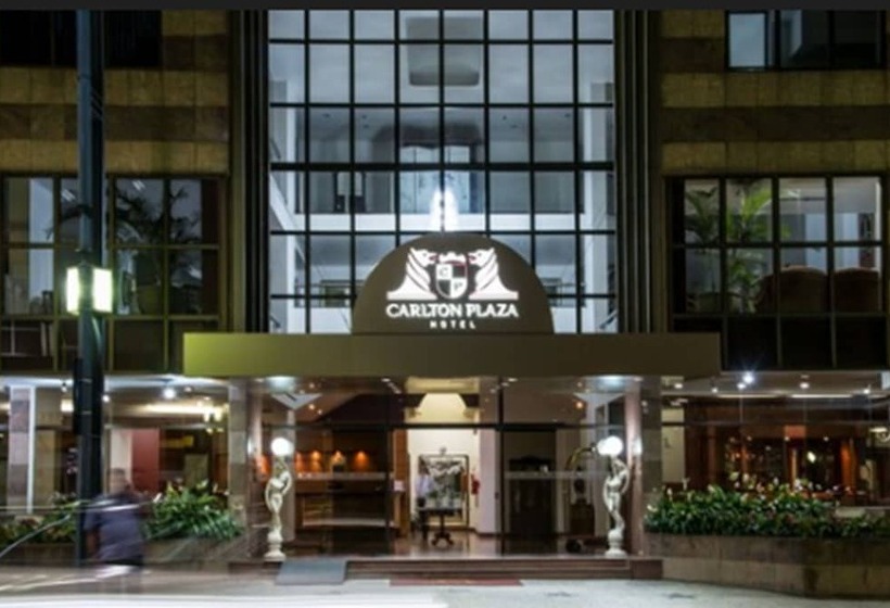 酒店 Carlton Plaza