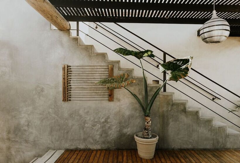 בית מלון כפרי Casa Tota