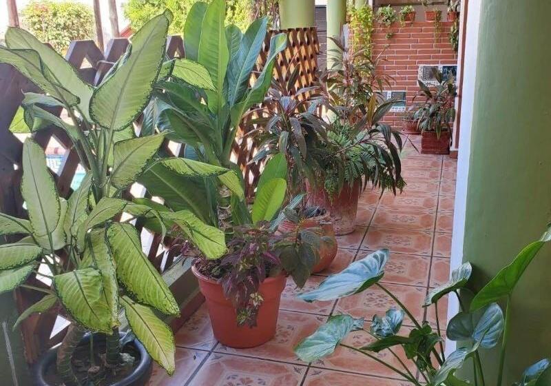 בית מלון כפרי Casablanca