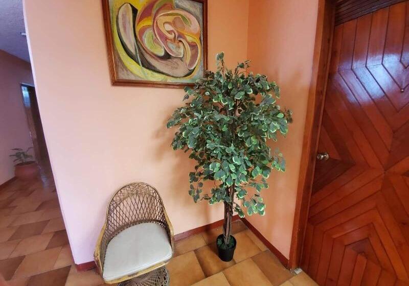 בית מלון כפרי Casablanca