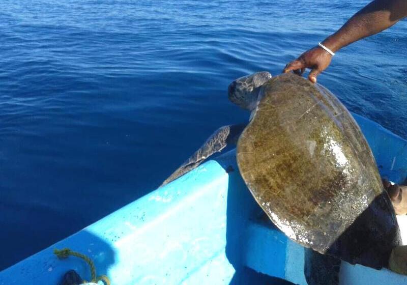 בית מלון כפרי Casablanca