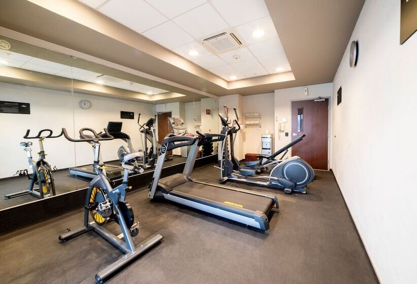 בית מלון כפרי City Express By Marriott Paraiso