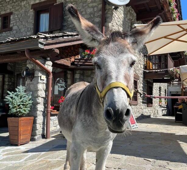 Отель La Grange Animal Chic