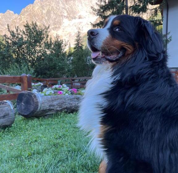 Отель La Grange Animal Chic