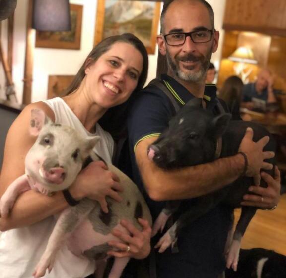 Отель La Grange Animal Chic