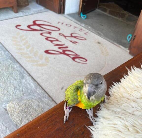 호텔 La Grange  Animal Chic