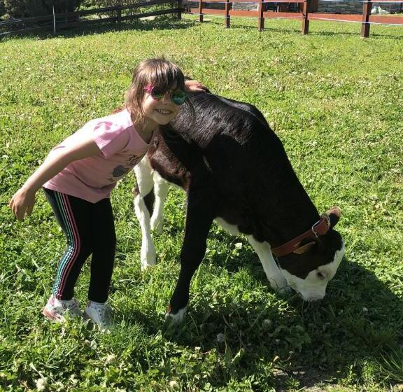 Отель La Grange Animal Chic