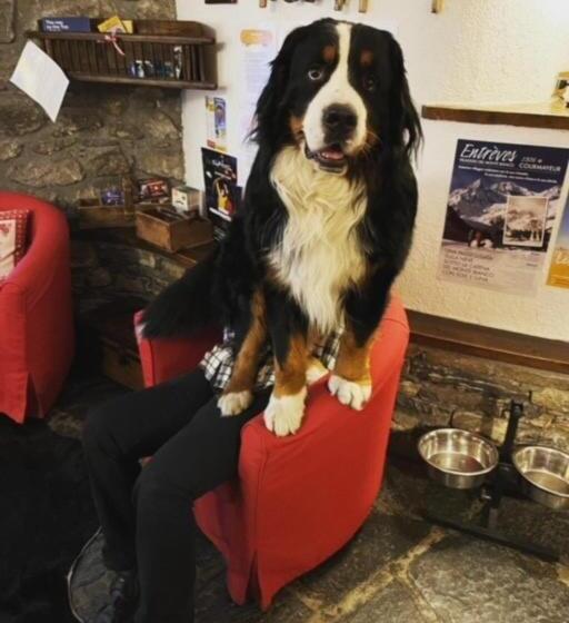 Отель La Grange Animal Chic