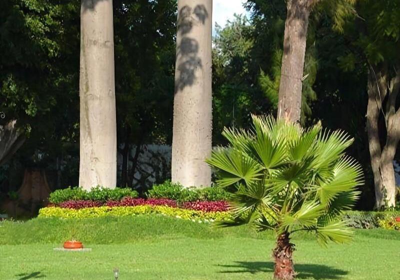 호텔 La Villa Real