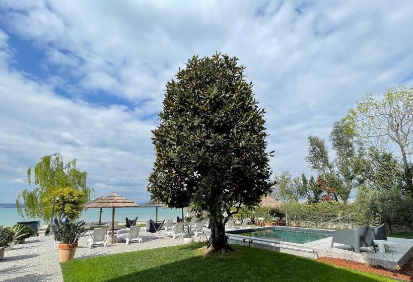 酒店 Le Petit Du Lac