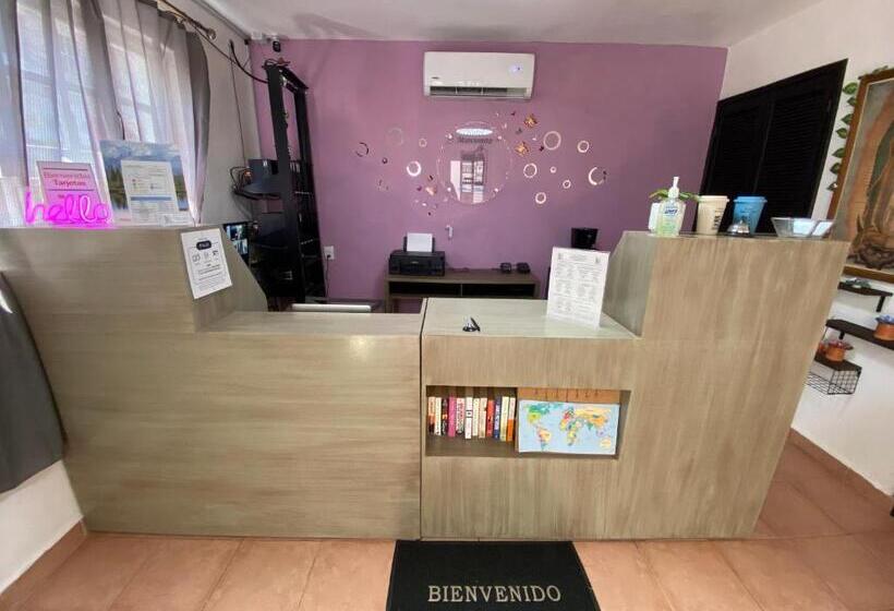 Отель Marcianito