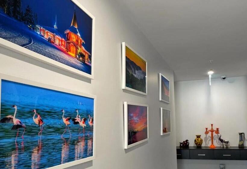 Отель Odyssey Apollo Bay