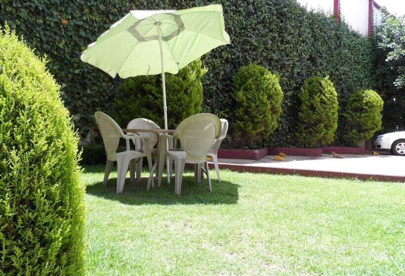 호텔 Plaza Morelos