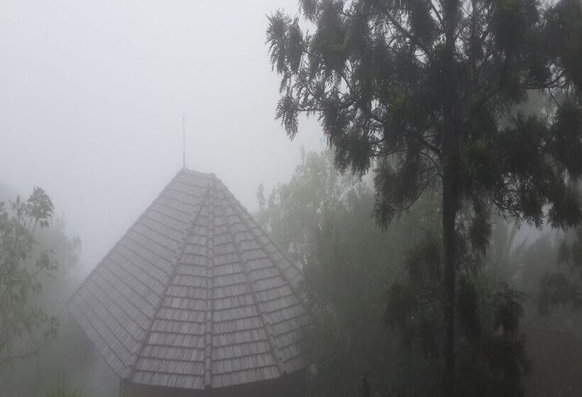 هتل Poetree Thekkady