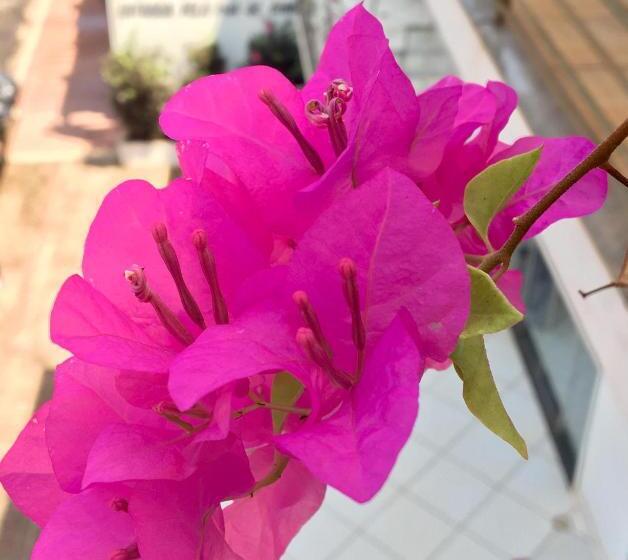 Отель Pousada Beira Rio