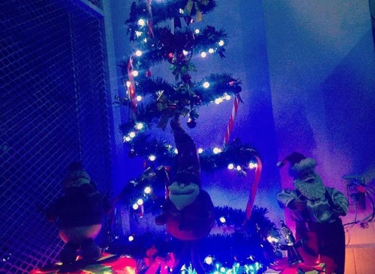 Отель & Suites Mo Sak