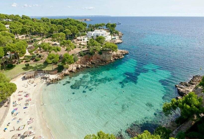 فندق The Donna Portals