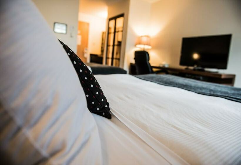 בית מלון כפרי V