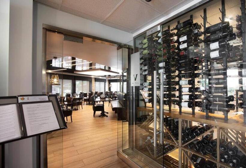 בית מלון כפרי V