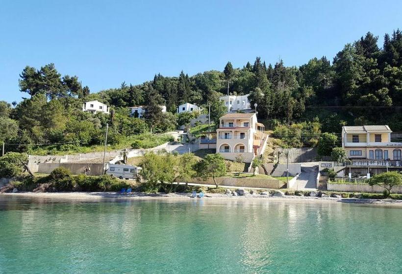 호텔 Villa Alexandra