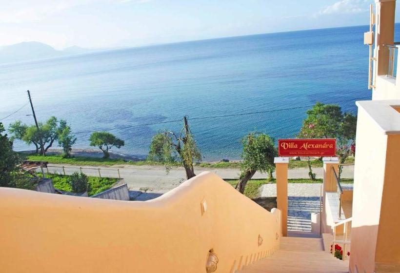 호텔 Villa Alexandra