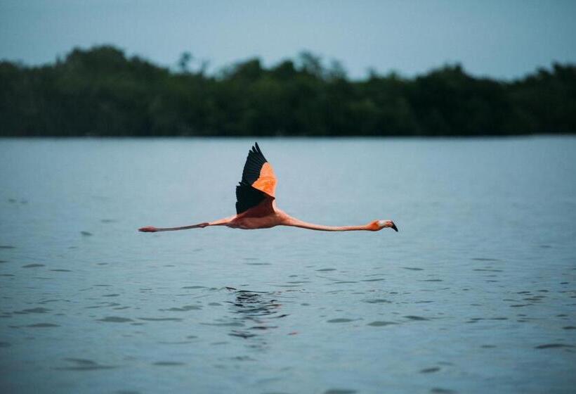 فندق Villa De Pescadores