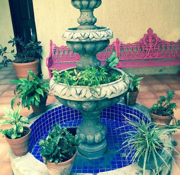 Отель Villa Del Sol