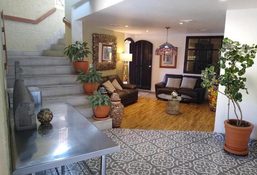 Отель Villa Del Sol