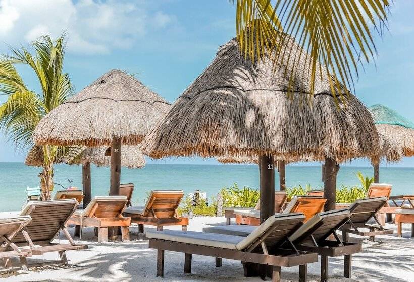 호텔 Zomay Beachfront Holbox