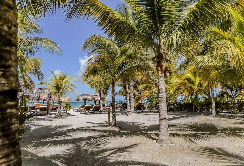 호텔 Zomay Beachfront Holbox