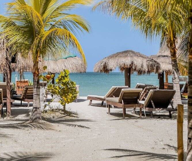 호텔 Zomay Beachfront Holbox