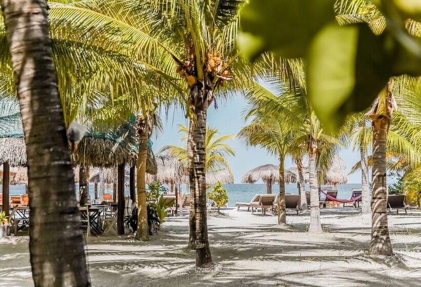 호텔 Zomay Beachfront Holbox