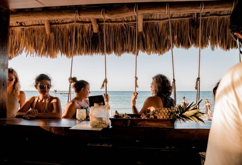 호텔 Zomay Beachfront Holbox