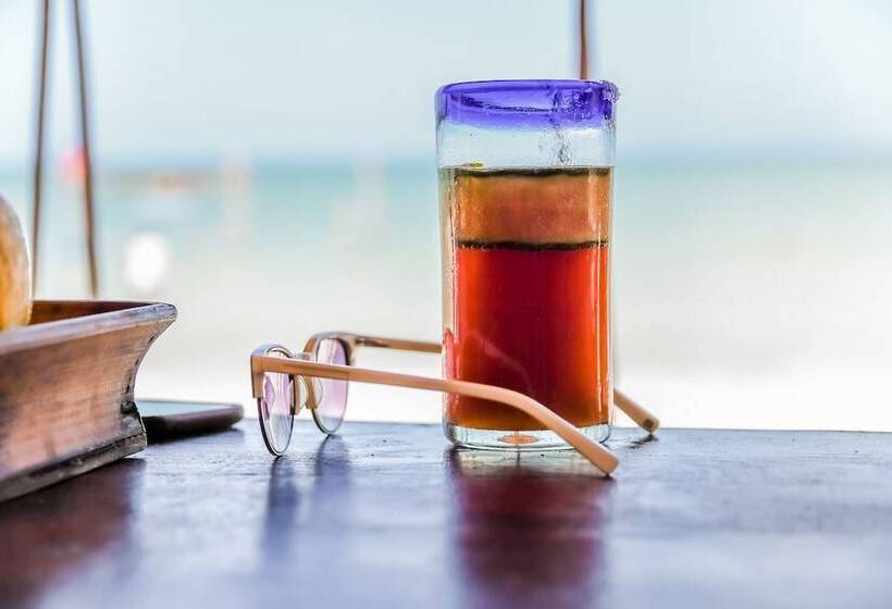 호텔 Zomay Beachfront Holbox