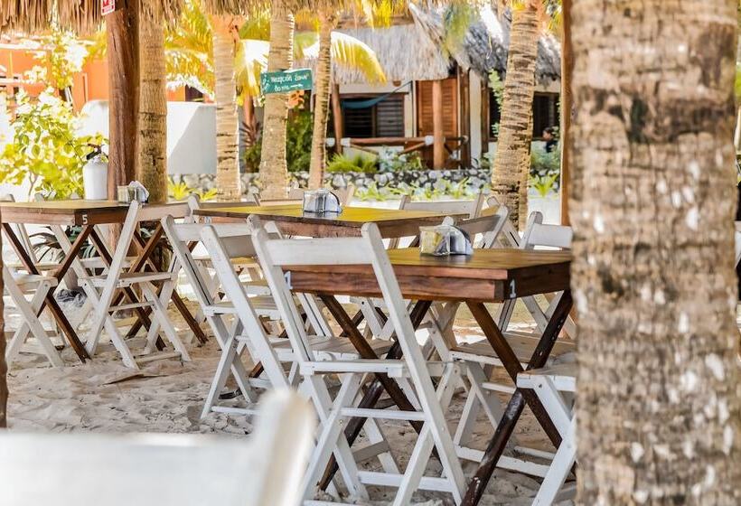 호텔 Zomay Beachfront Holbox