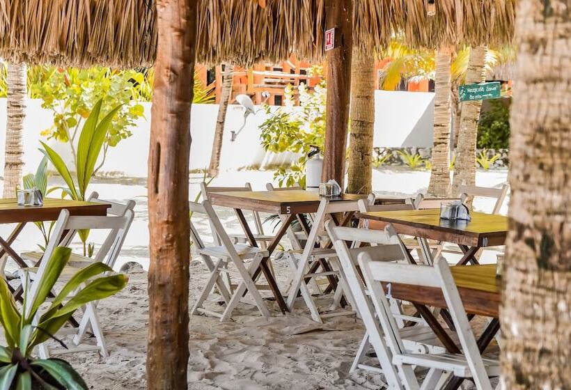 호텔 Zomay Beachfront Holbox